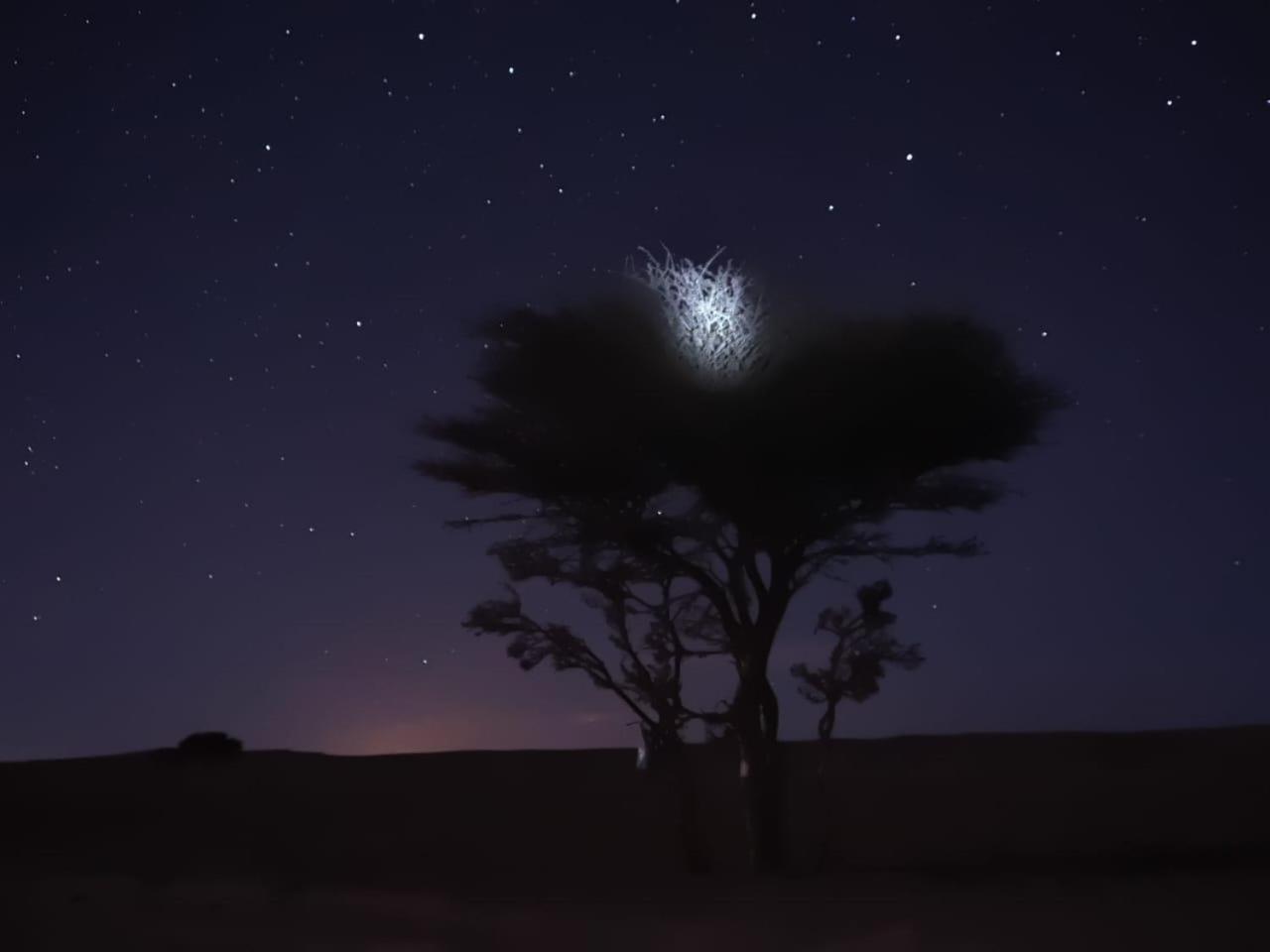 Готель Tuareg Luxury Camp Мерзуга Екстер'єр фото